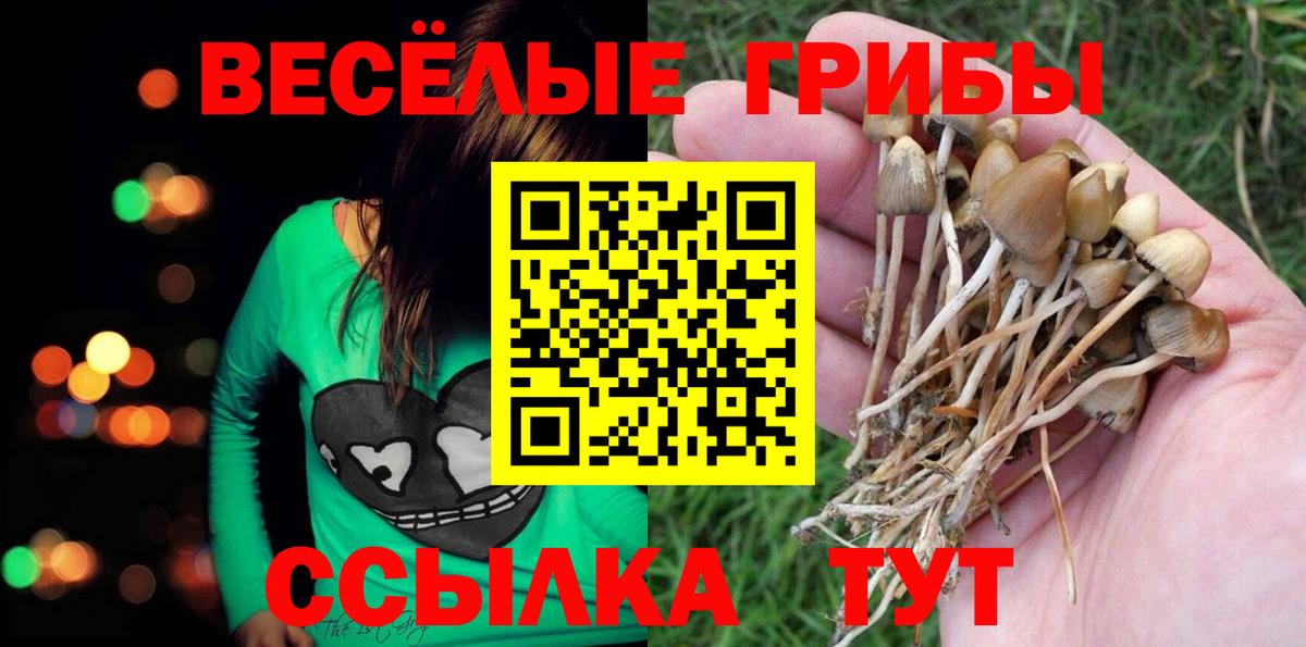 купить  сайты  Псилоцибиновые грибы ЛСД  Вход с VPN  Электросталь 